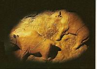 Bisons du Tuc d'Audoubert, Ariege, 14000 ans.jpg